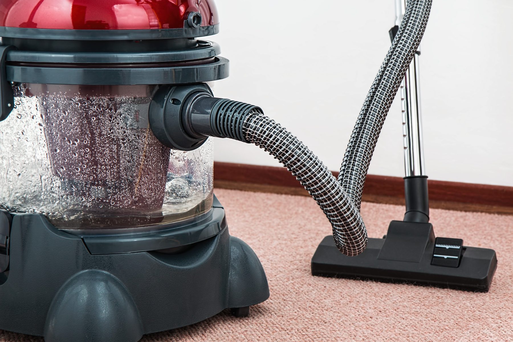 Rug and carpet cleaning buffalo